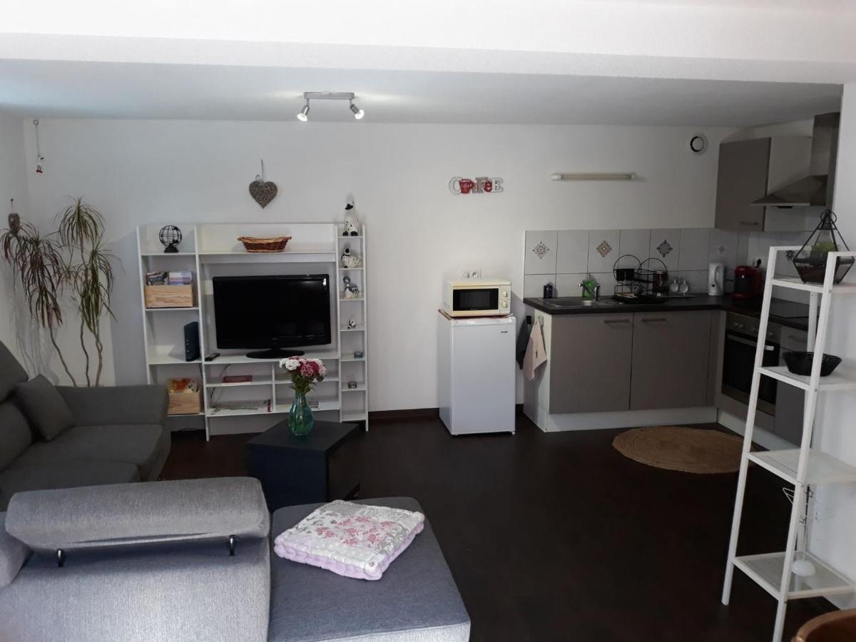 Le Nid Alsacien Appartement Horbourg Buitenkant foto
