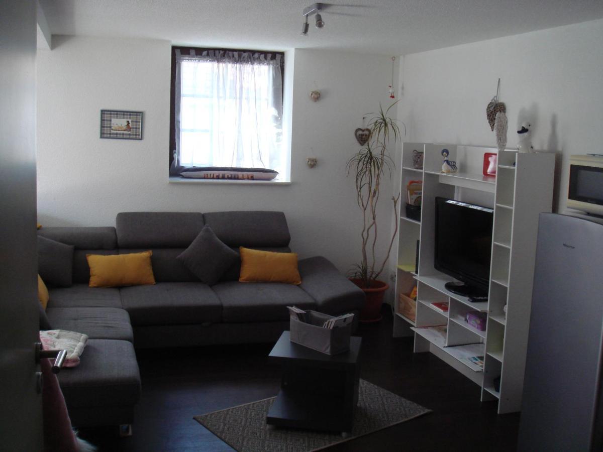 Le Nid Alsacien Appartement Horbourg Buitenkant foto