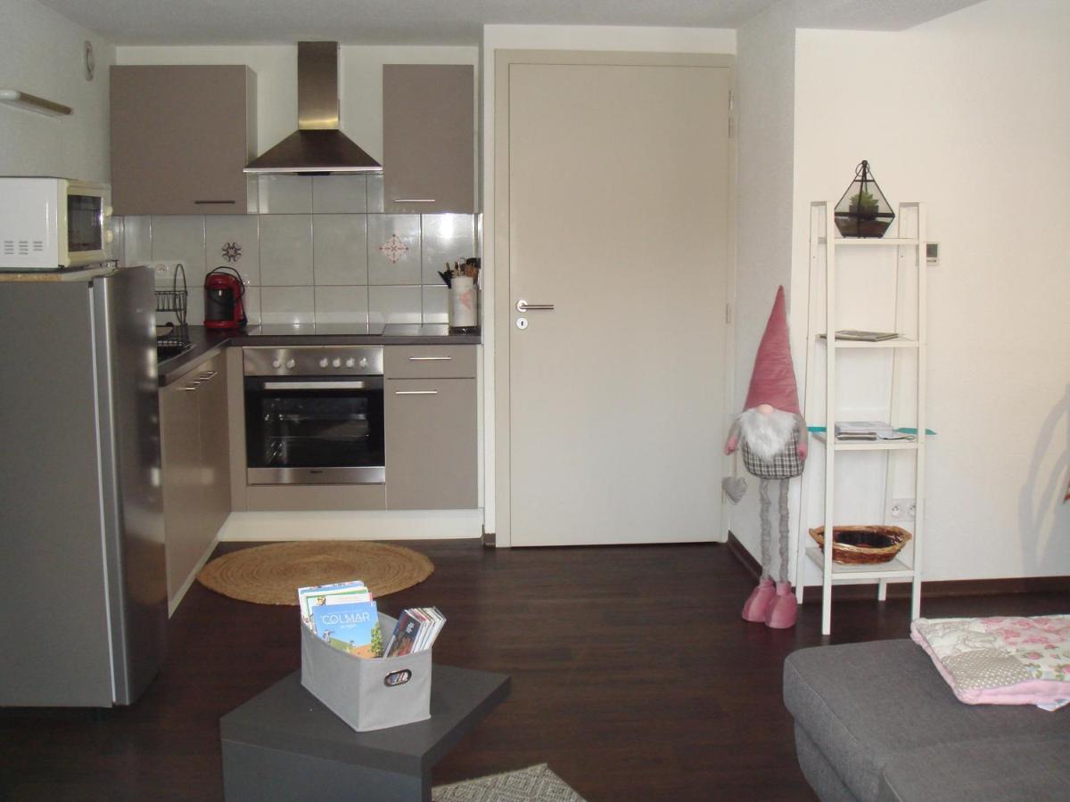 Le Nid Alsacien Appartement Horbourg Buitenkant foto