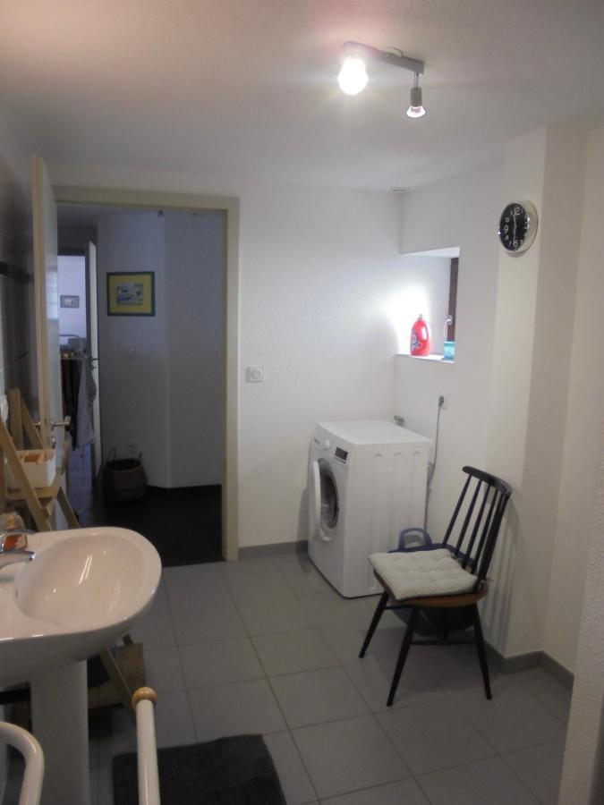 Le Nid Alsacien Appartement Horbourg Buitenkant foto